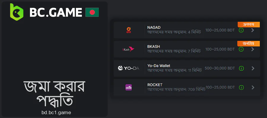 BC.Game-এ আপনার অ্যাকাউন্ট পুনরায় পূরণ করার জন্য উপলব্ধ পদ্ধতি