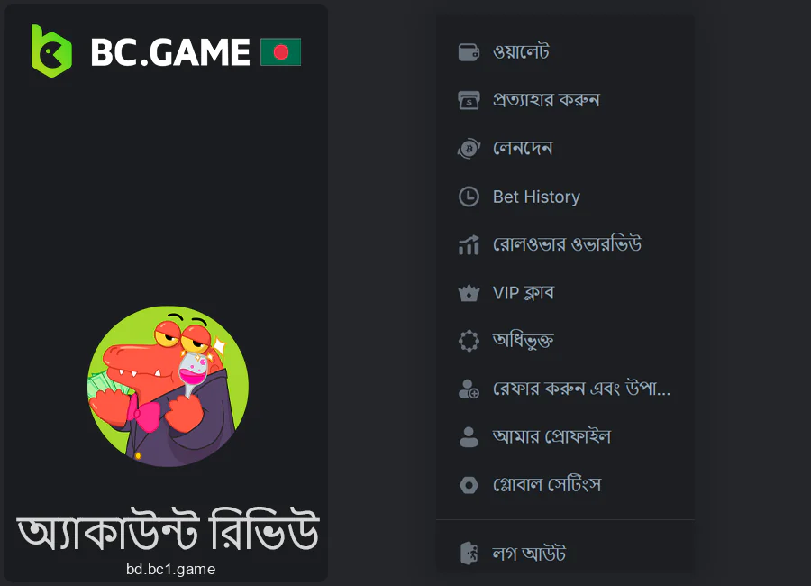 BC.Game ব্যক্তিগত অ্যাকাউন্ট ওভারভিউ